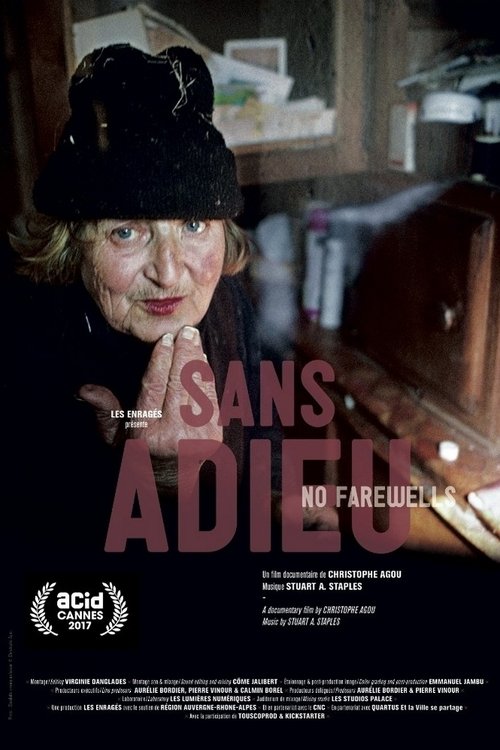 Sans adieu movie poster player