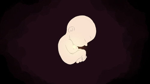The Little Miracle Backdrop Blur
