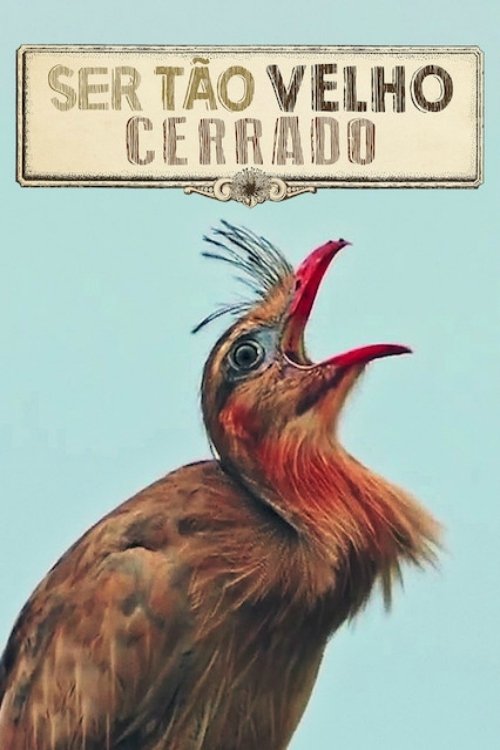 Ser Tão Velho Cerrado 2018