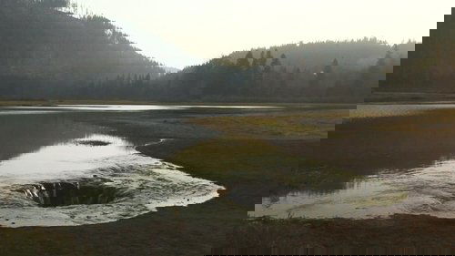 Image de l'épisode 7