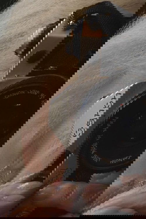 Anita Louise and the Wild Women poster