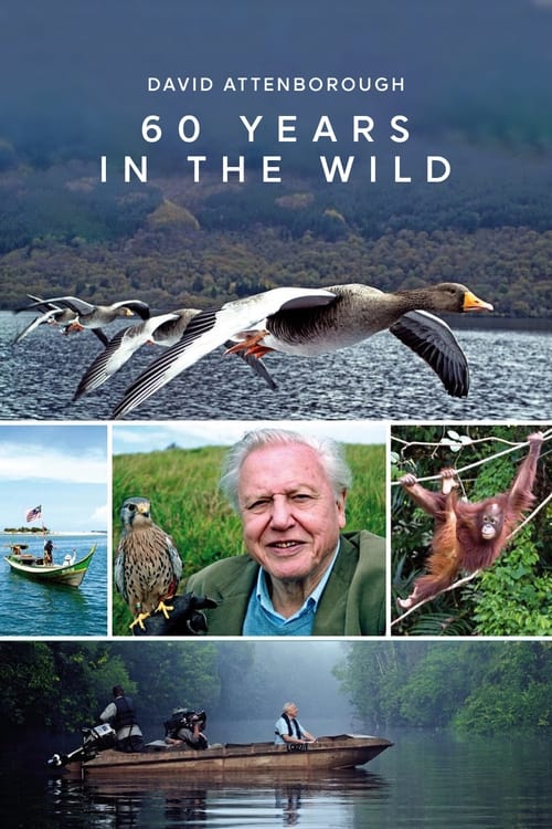 Where to stream Attenborough: 60 Years in the Wild Season 1