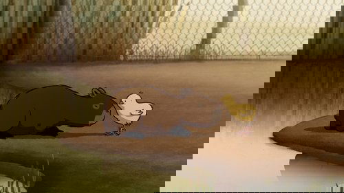 Backdrop Image