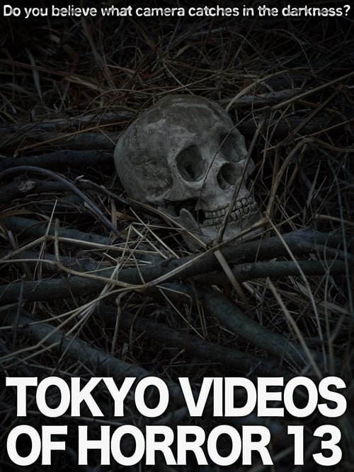 Tokyo Videos of Horror 13 (2015)