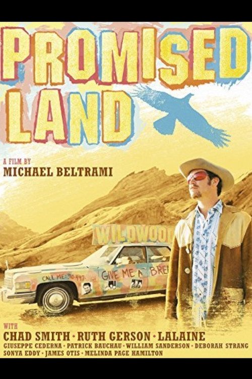 Promised Land movie poster player