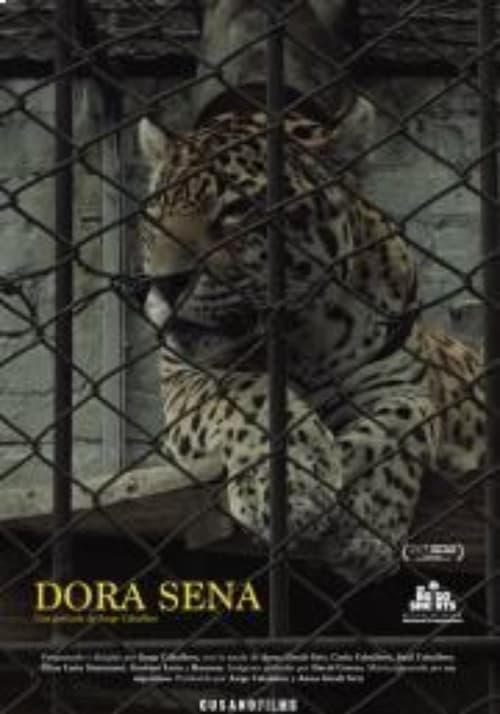 Dora Sena (2020)