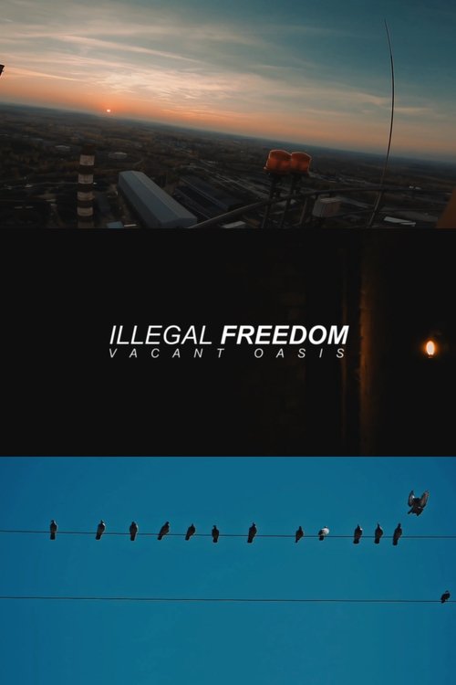 ILLEGAL FREEDOM: VACANT OASIS movie poster player