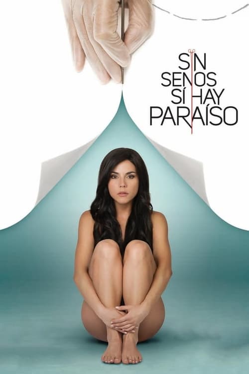 Where to stream Sin Senos Sí Hay Paraíso Season 1