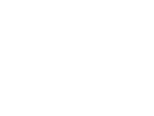 Jenny Slate: Seasoned Professional