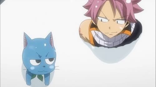 Poster della serie Fairy Tail