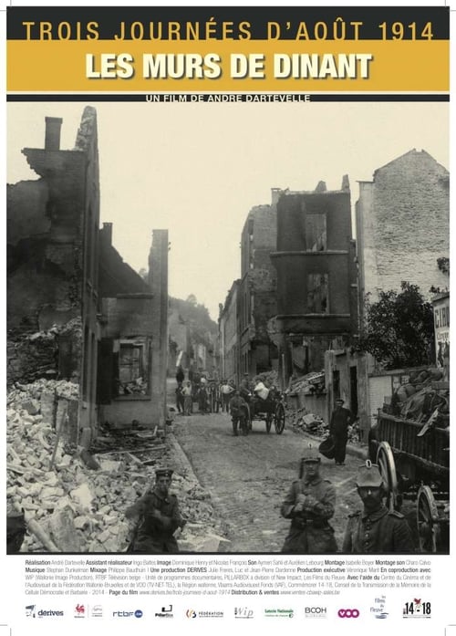 Trois journées d'août 1914, les murs de Dinant 2013