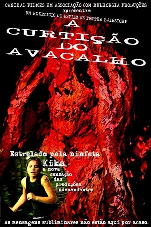 A Curtição do Avacalho movie poster player