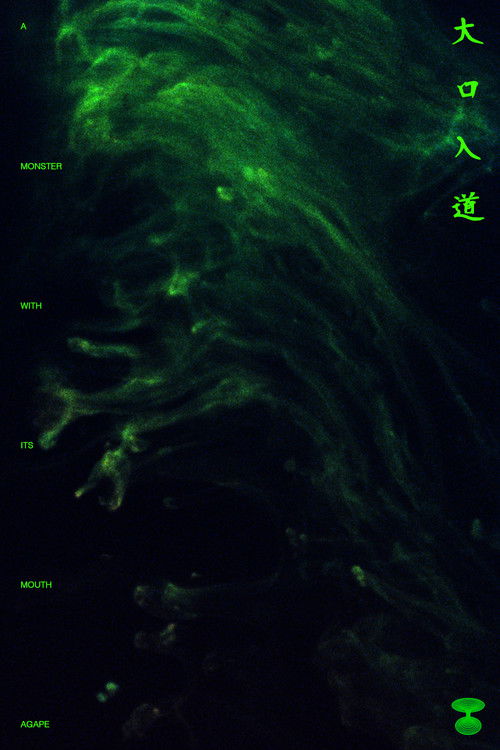 A Monster with Its Mouth Agape poster