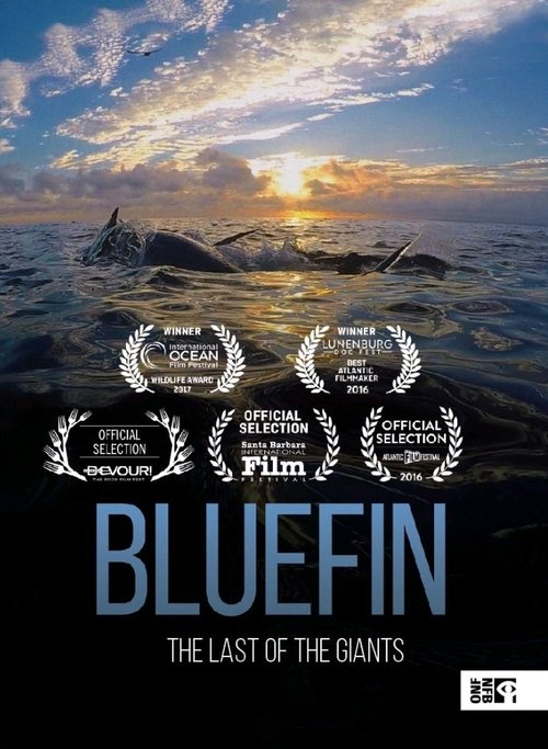 Bluefin poster