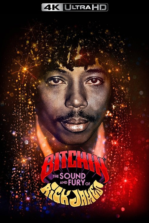 Bitchin': The Sound and Fury of Rick James poster