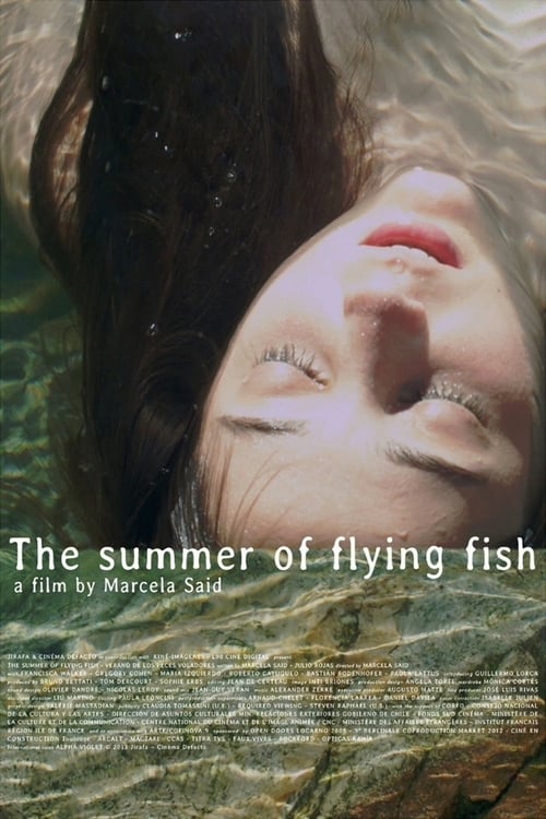 Poster El verano de los peces voladores 2013