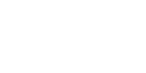 Detective Chen