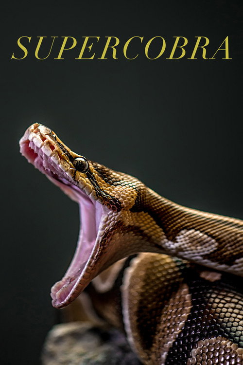 Supercobra