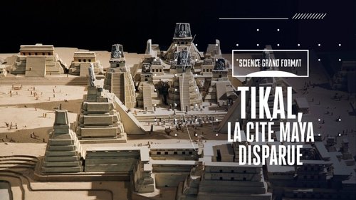 Tikal, la cité Maya disparue