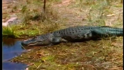 Image de l'épisode 1