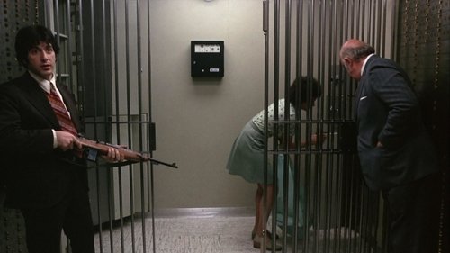 Tarde de perros (Dog Day Afternoon)