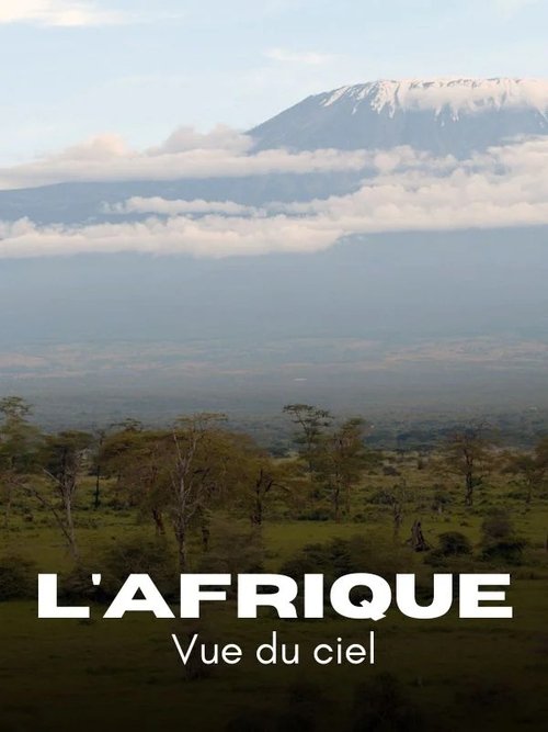 L'Afrique vue du ciel