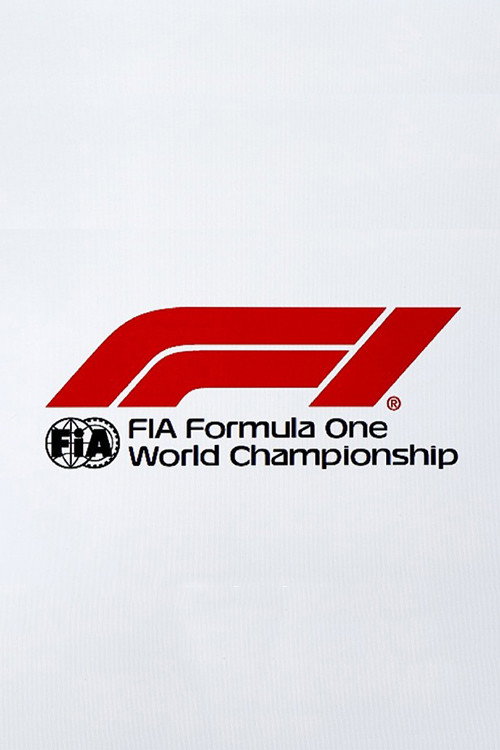 Formula 1 poszter
