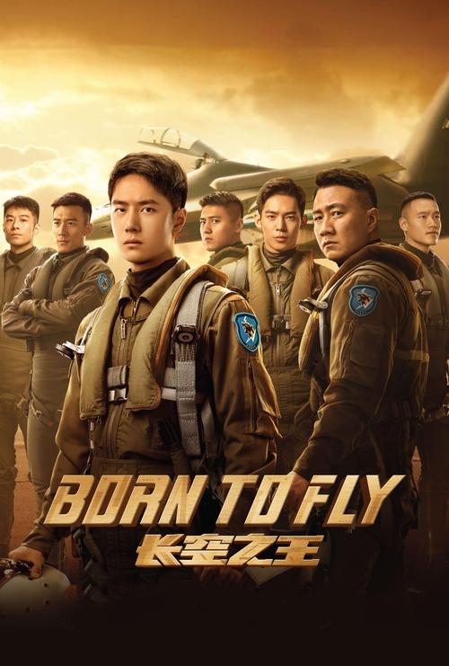 长空之王 长空之王