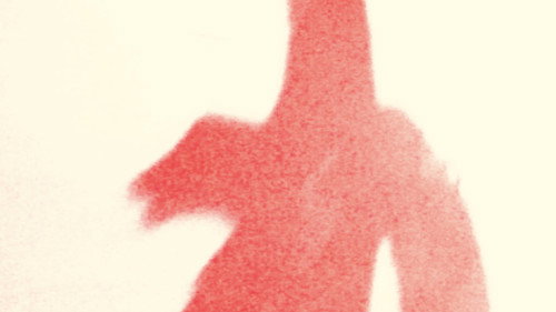 Olivia enseñándome todos los animales que hay en la pared