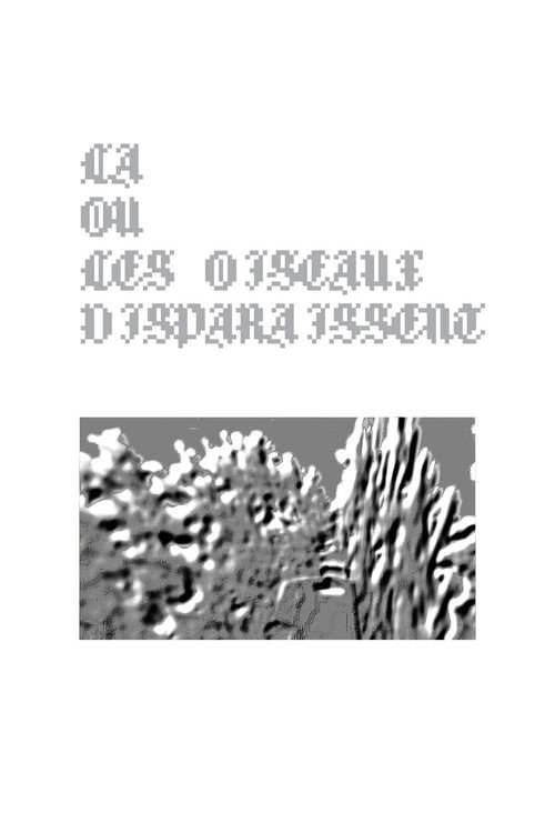 Là où les oiseaux disparaissent