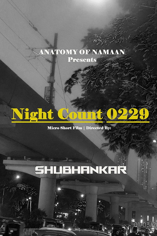 Night Count 0229