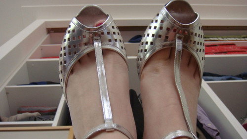 Silver Shoes