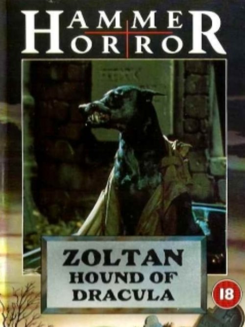 Dracula's Dog poster