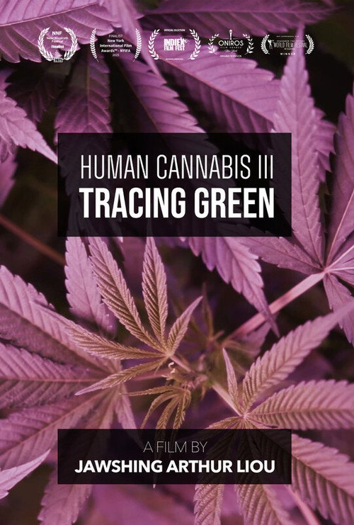 Human-Cannabis III: Tracing Green