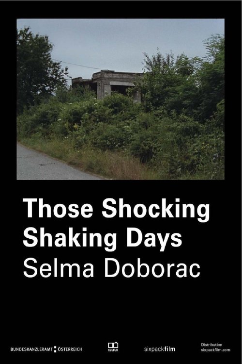 Those Shocking Shaking Days movie poster player