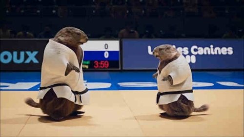 Judo