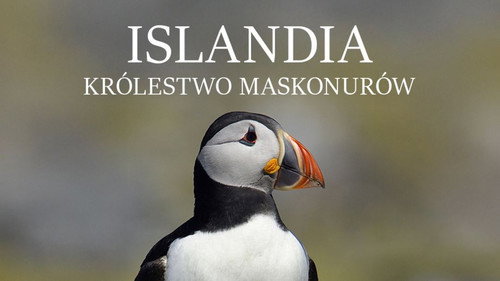 Islande, Le sanctuaire des macareux Backdrop Blur