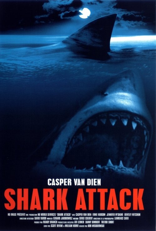 Poster image du film Shark Attack Shark Attack