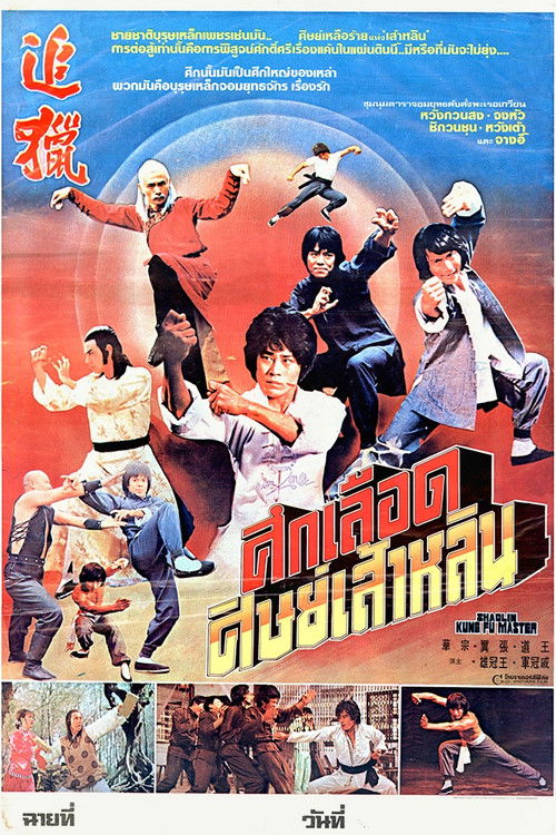 Shaolin Kung Fu Master poster