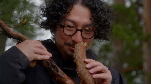 Essence of the Forest
