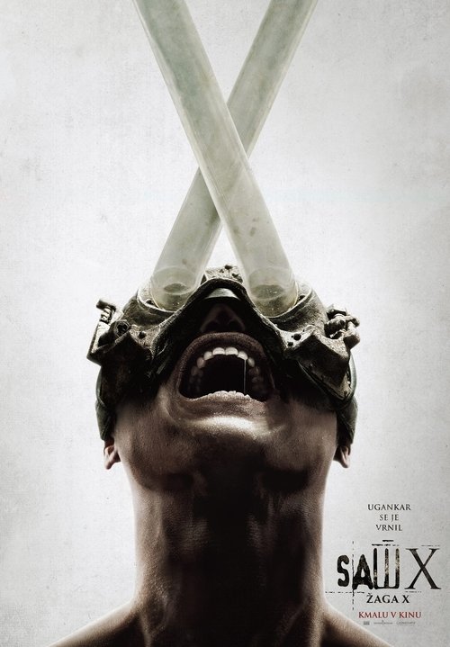 Posters
