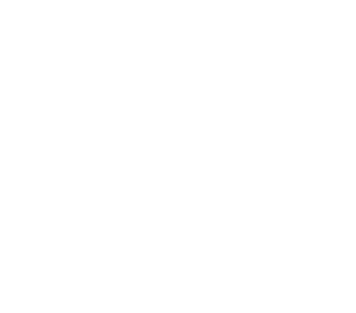 The Heat