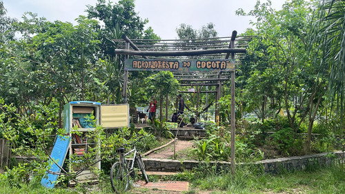 Curta Agrofloresta do Cocotá Backdrop Blur