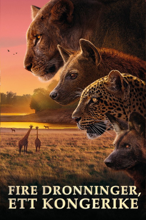 Kingdom-plakat