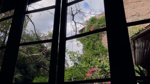 Letters to My Dead Parents