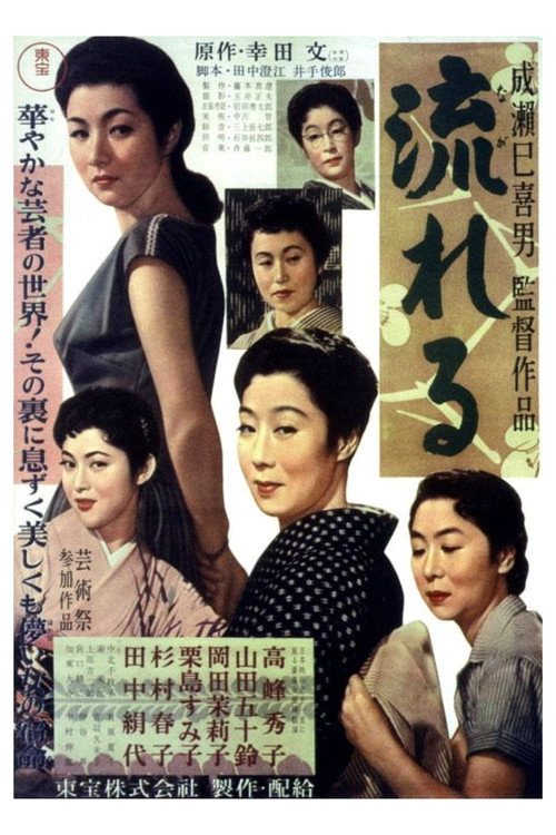 Official poster of 流浪记 (1956) - 剧情