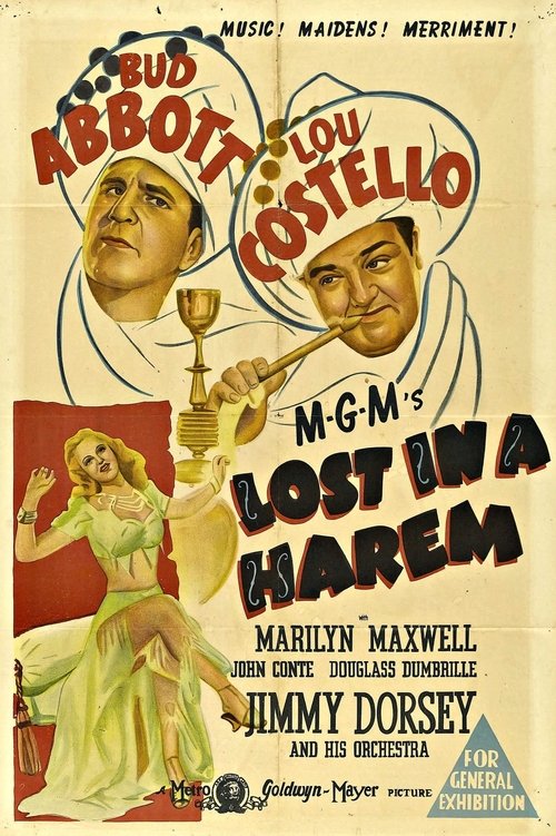 Lost in a Harem poster