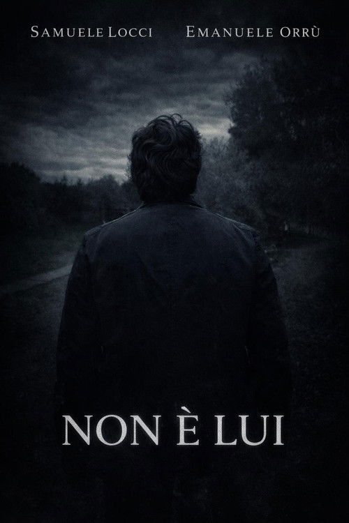Poster of Non è lui