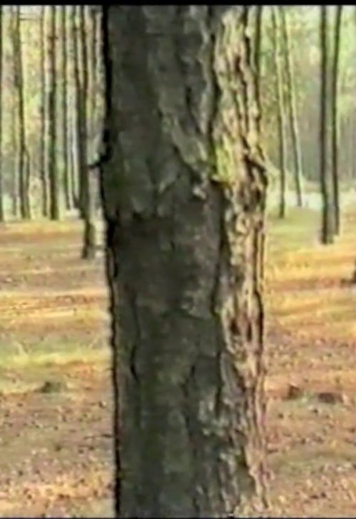 Dancing with trees 1985