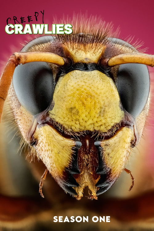 Season 1 (2022) - Season 1 poster and promotional image